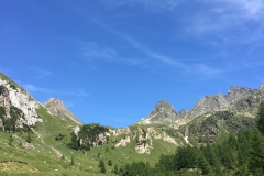 IMG_5608