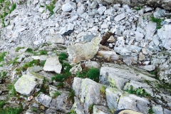 IMG_6403