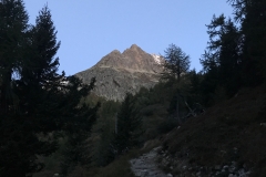IMG_1430