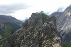 IMG_8812